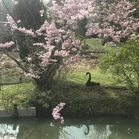 Le Moulin Calme Bed & Breakfast Luceau