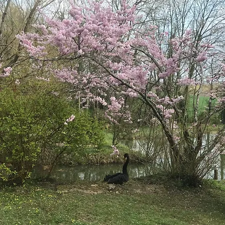 住宿加早餐酒店 勒木兰住宿加早餐旅馆 3*