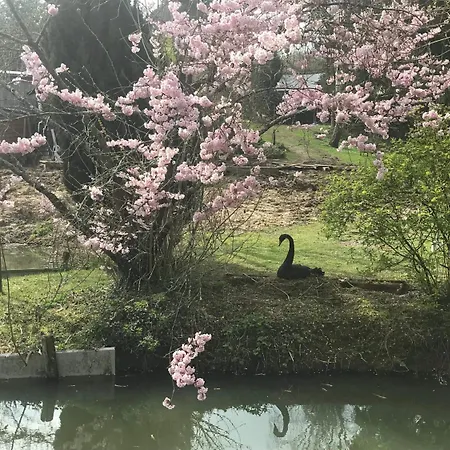 勒木兰住宿加早餐旅馆 3* Luceau