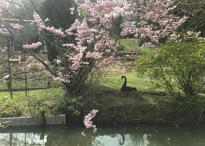 Le Moulin Calme 3* Luceau