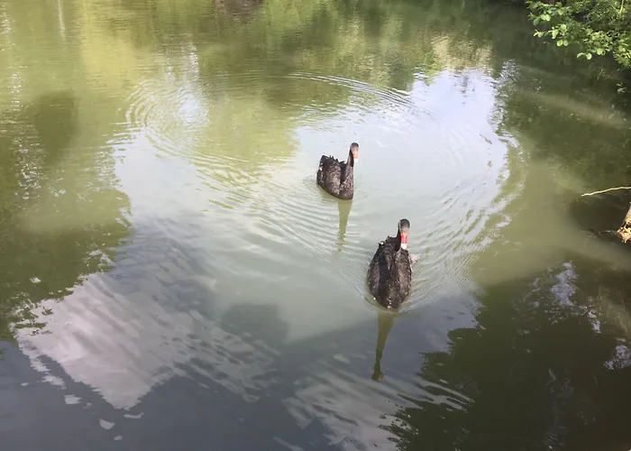 Le Moulin Calme Frühstückspension 3*