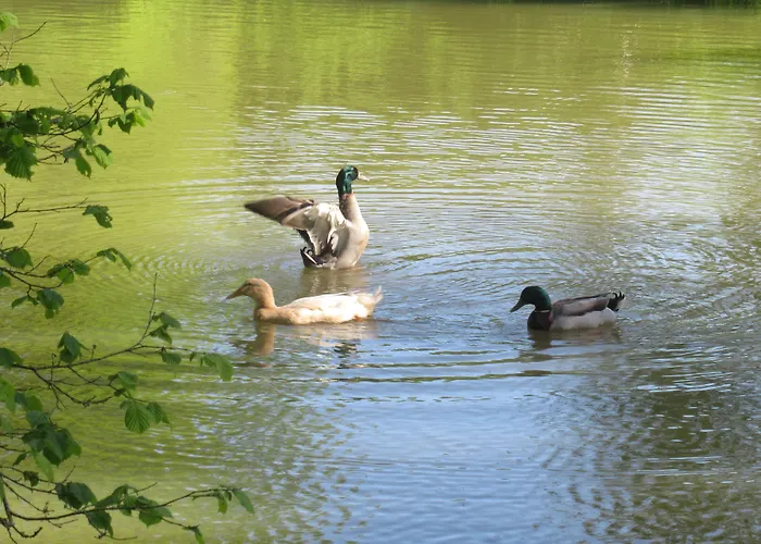 Frühstückspension Le Moulin Calme Luceau